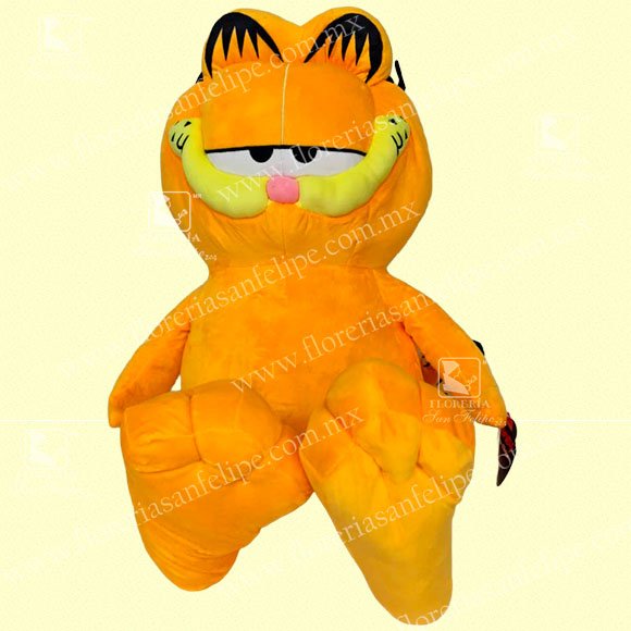 Gato Garfield